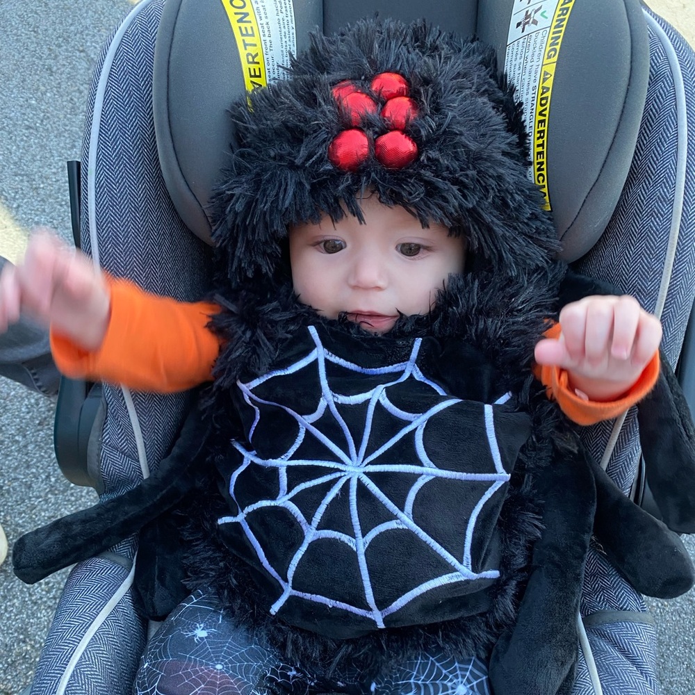 Baby spider costume Spirit Halloween